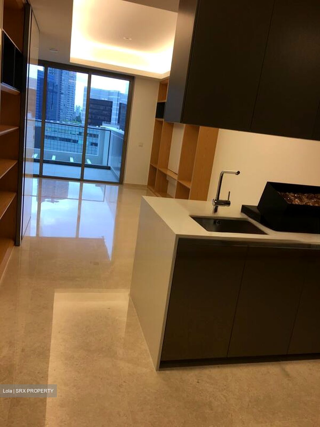 Cairnhill Nine (D9), Apartment #620687561